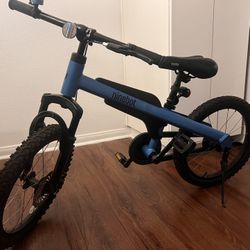 Segway Ninebot 18” Blue Bike 
