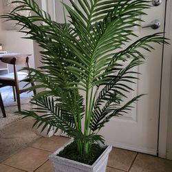Indoor Artificial Palm