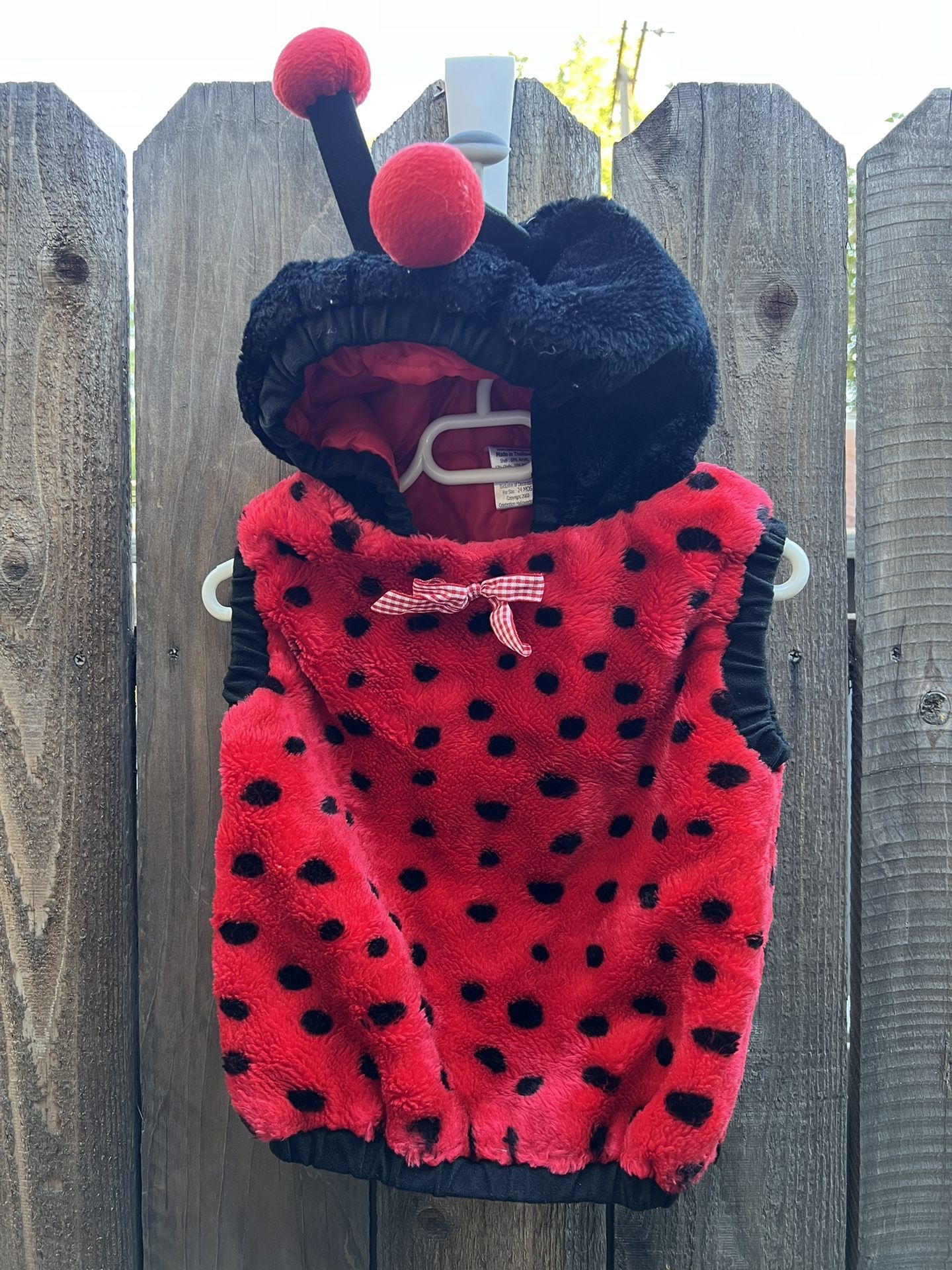 Ladybug Toddler Halloween Costume
