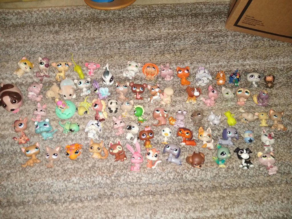 Littlest pet shops 70 figs plus accessories $30 cash for all 75th avenue and Indian School