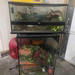 Terrarium some Used And Brand New Accessories
