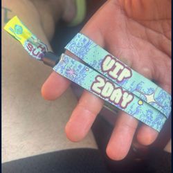 Hard Summer Sunday Portion VIP