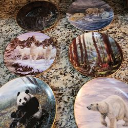 6 Collectible Wildlife Plates.  One Low Price 