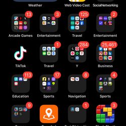 iPhone 16 Pro max With TikTok Installed