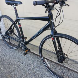 29er Disc Urban Hybrid Bike REI M L