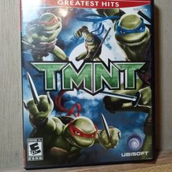 PS2 TMNT 