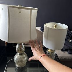 2 Lamps $40