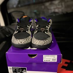 Nike SB Dunk Low Copperhead 9.5