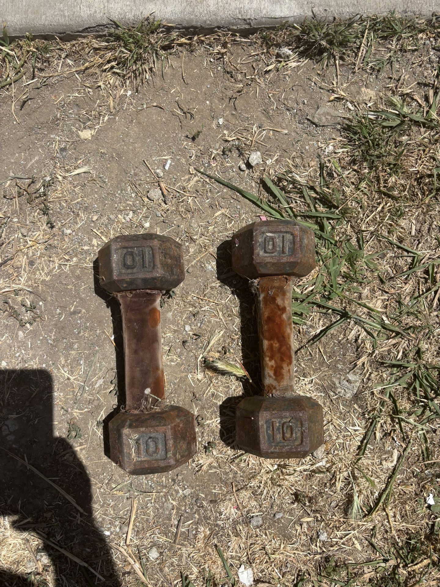 Dumbbell Weights 10 Pounds Each