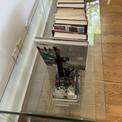 Contemporary Glass Low Coffee Table/tTV Stand