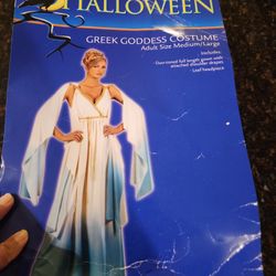Halloween Greek Goddess Costume.. MEDIUM ,,/,LARGE