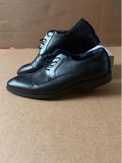 Steve Madden Dress Shoes