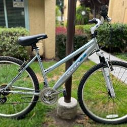 Bike (Needs Tires And Breaks)