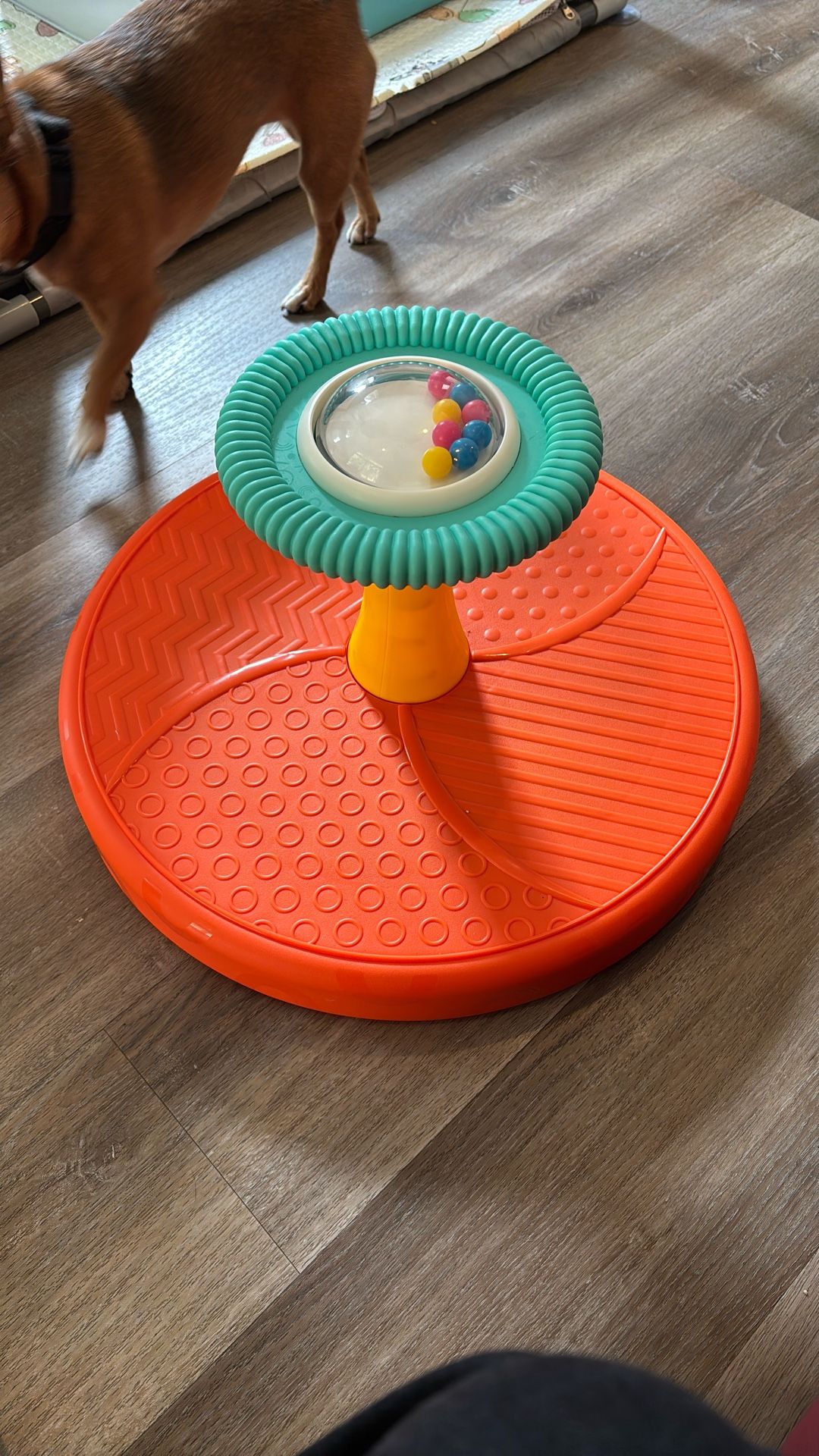 Spinning Toy For Toddler