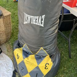 Punching Bag Everlast 