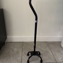 Adjustable Quad Cane Tampa 33615. 