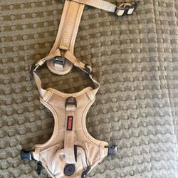 Kong dog harness