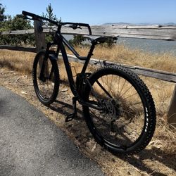 MTB STANCE 