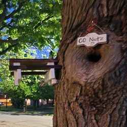 Mini Squirrel Picnic Tables