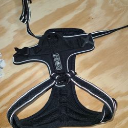 Sport Dog Harness