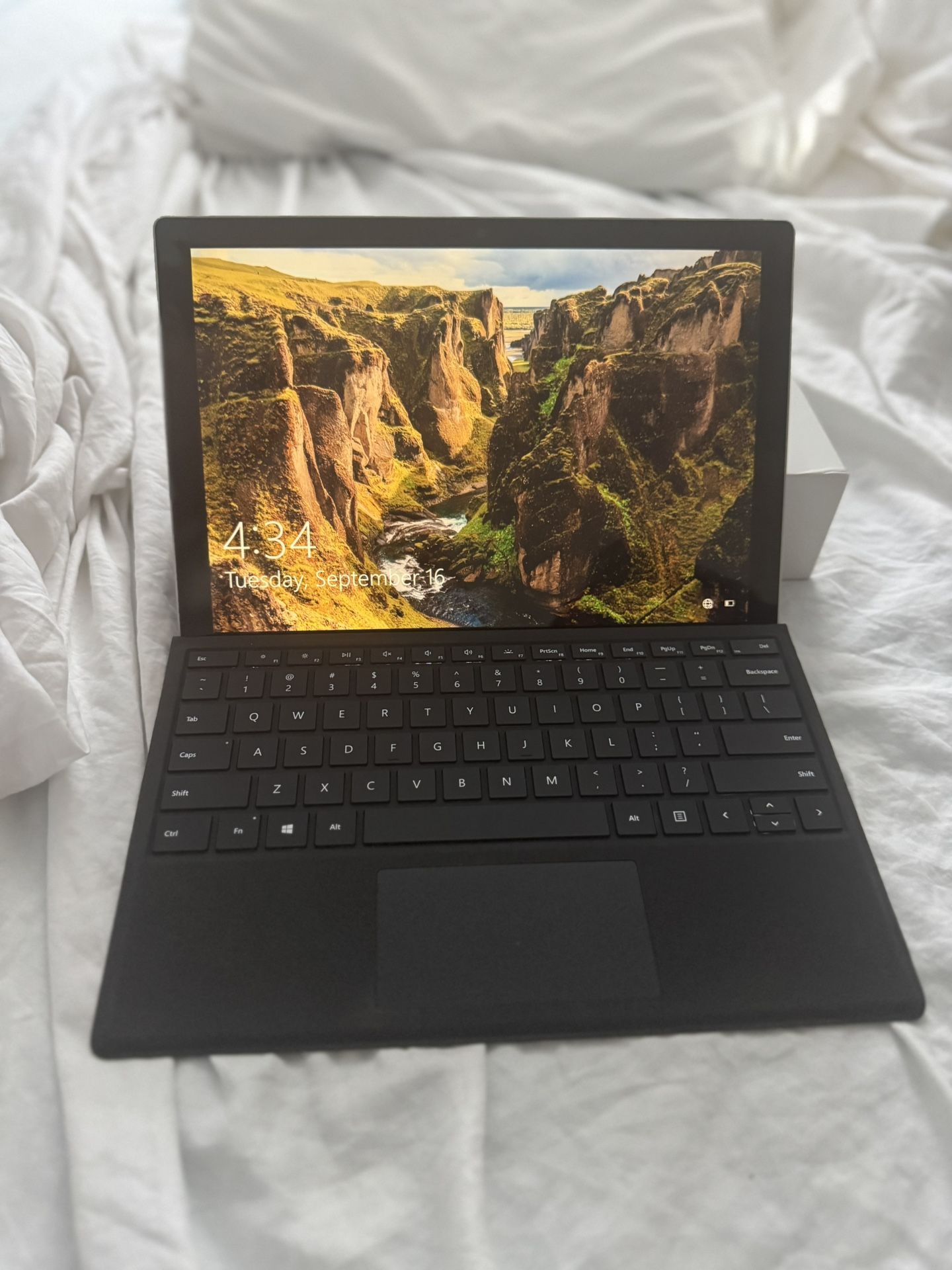 Microsoft Surface pro 6 With Type Cover 