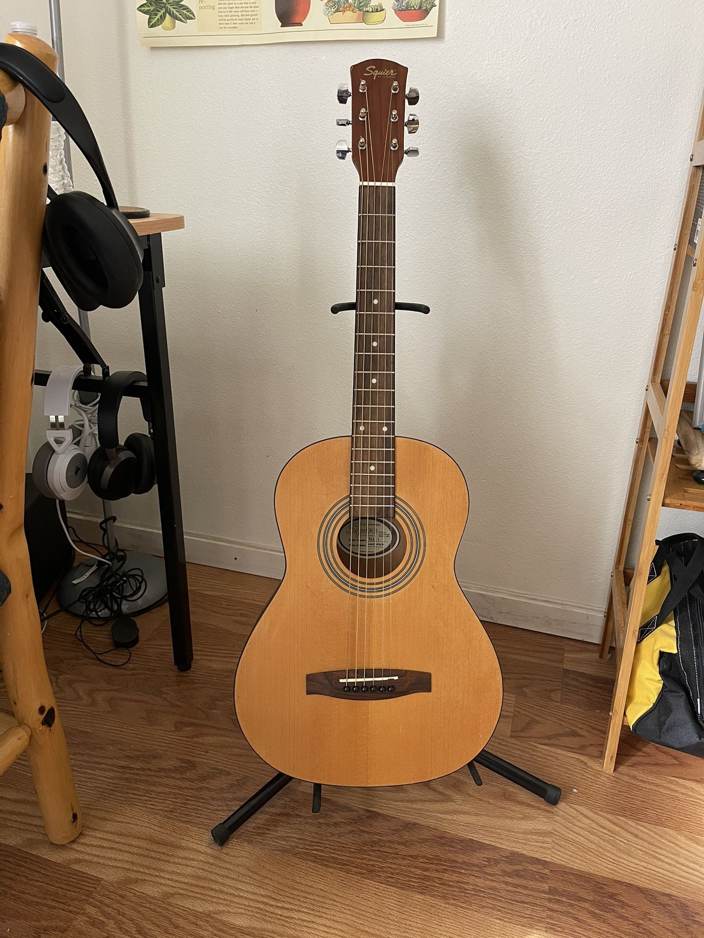 Squier by Fender MA-1 Acoustic Guitar (20th Anniversary, 3/4 Size)