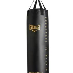Everlast 80 Lb Punching Bag