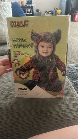 Big Bad Wolf Costume