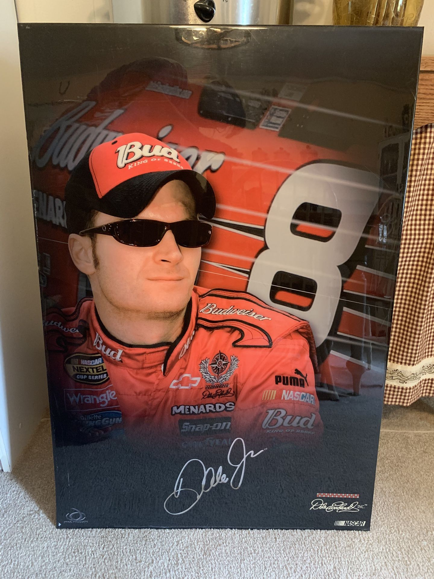 Dale Earnhardt #8 Car Picture