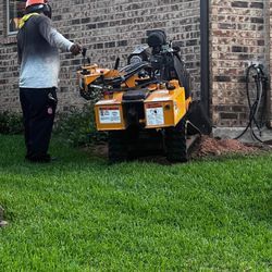 Stump Removal 