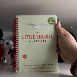The Little Seagull book