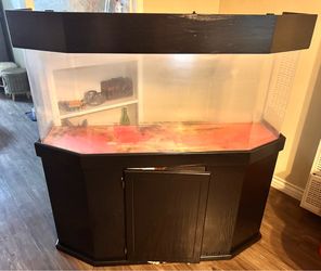 56 Gallon Acrylic Bow Front Fish-tank & many Extras