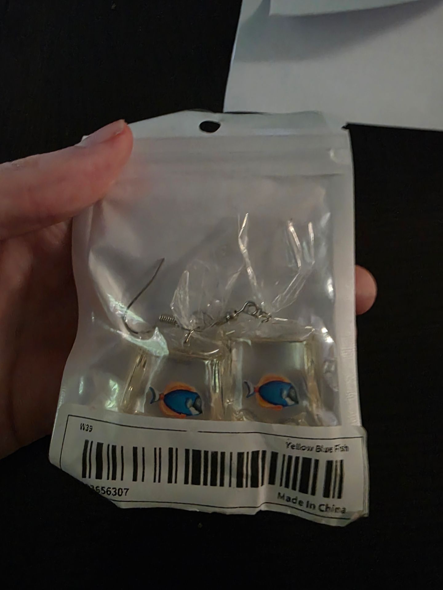 Fish/Aqaurium Earrings