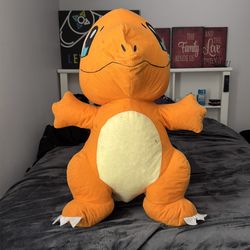 A Charizard