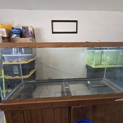 Big fish tank read description