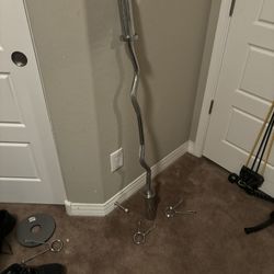 Olympic Curl Bar