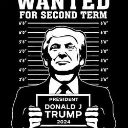 Donald Trump Decal Sticker 10 Inches White 