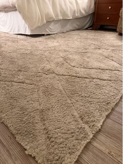 Area Rug