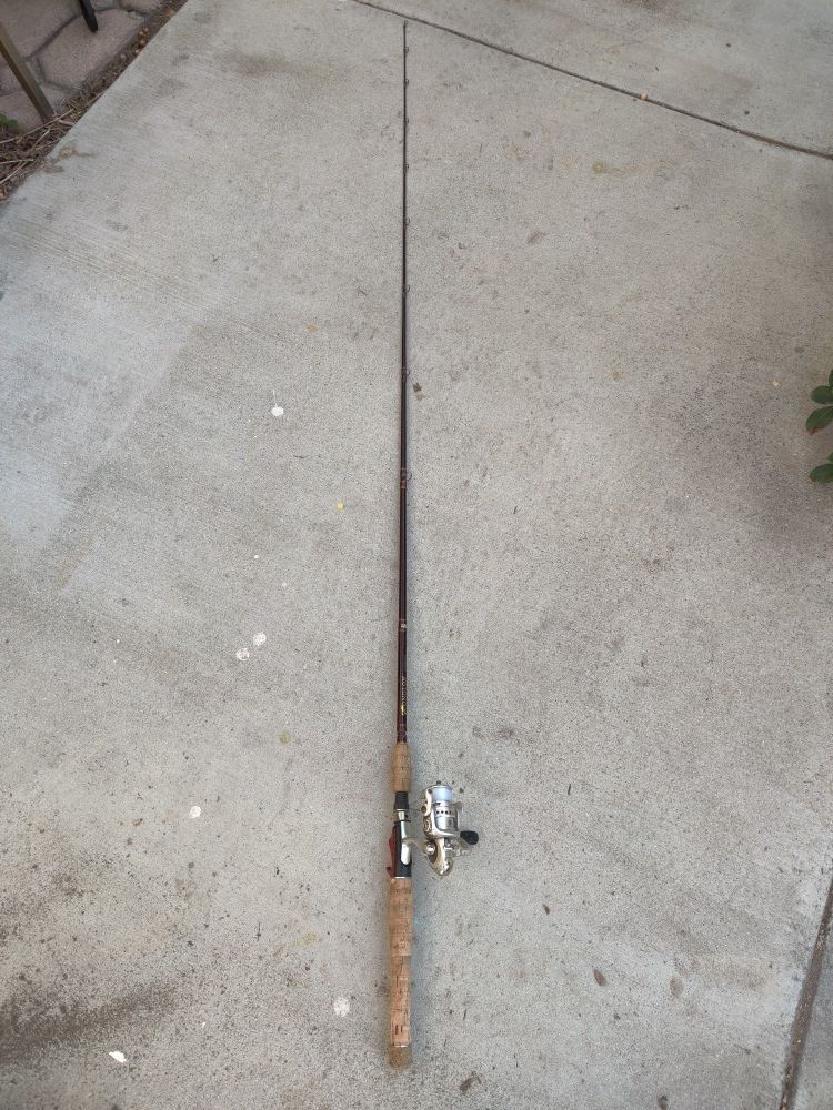 Fishing Pole and Reel Abu Garcia Combo