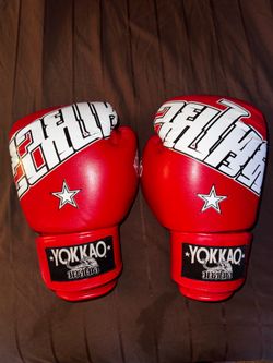 Yokkao Boxing gloves