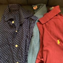 Ralph Lauren Polos And Long Sleeve Button Down Shirts
