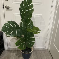 Amazing Deal: IKEA Monstera Artificial Plant - Only $20!