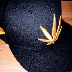 Men Hat