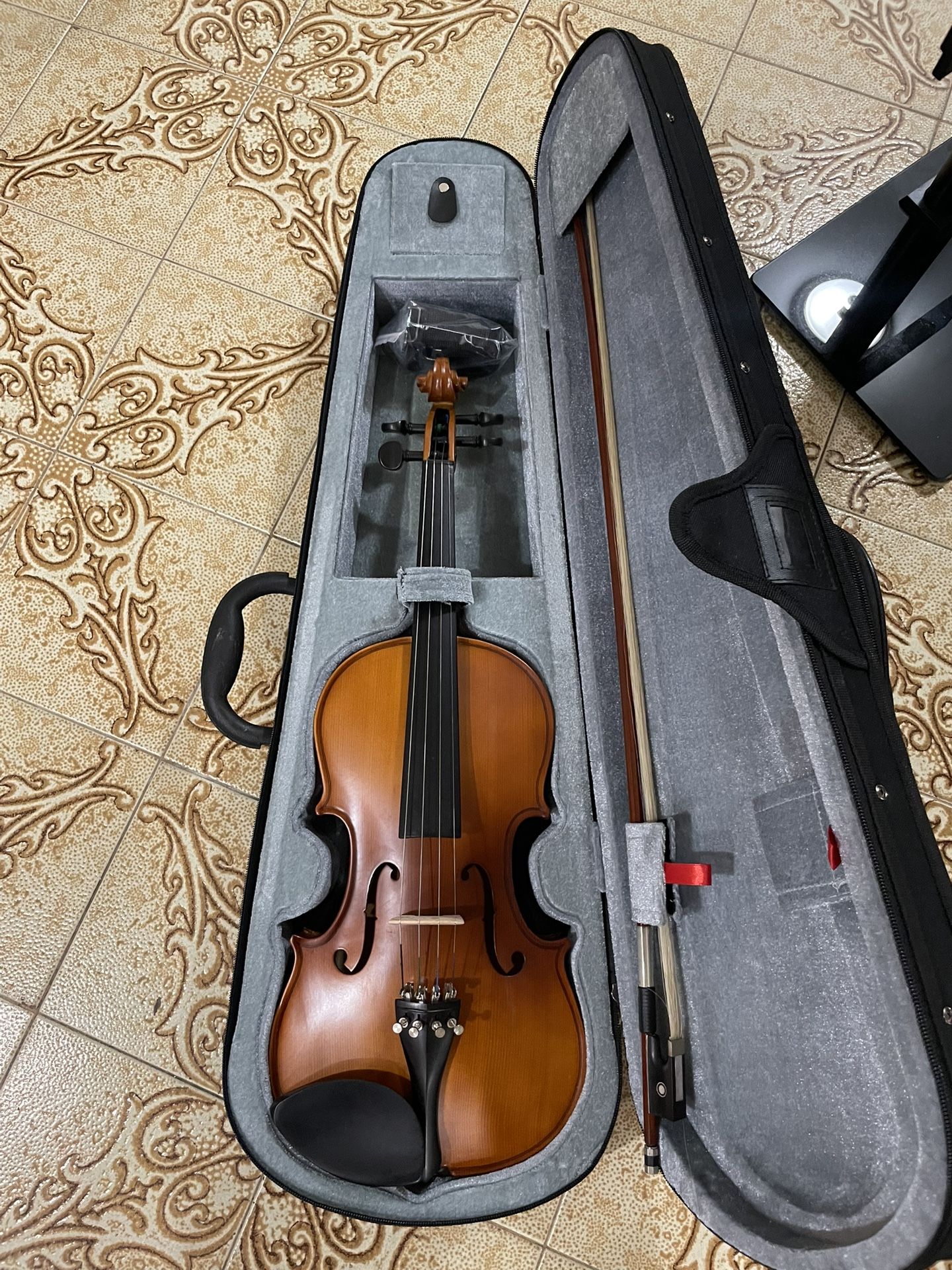 Violin