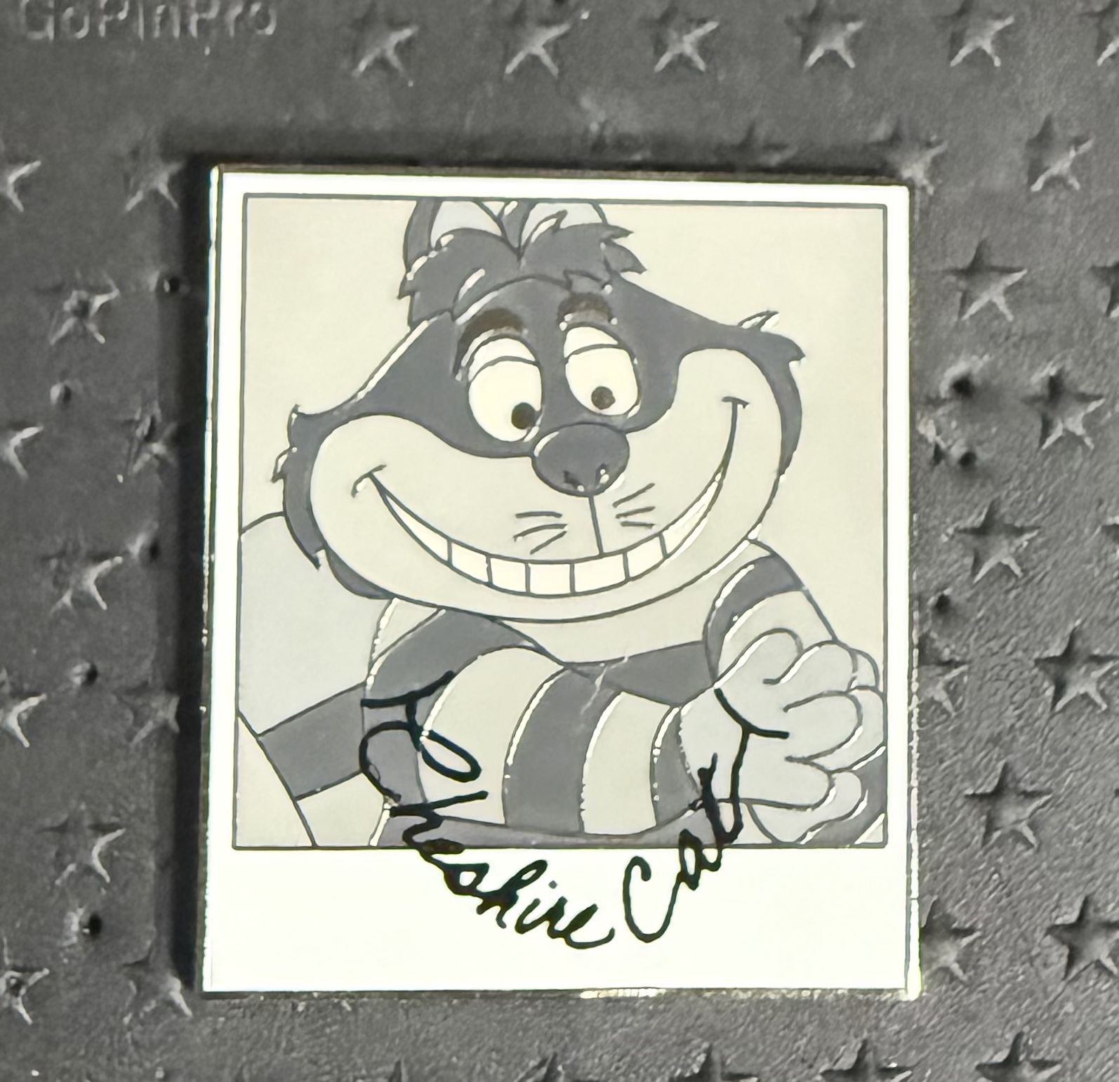 DISNEY CHARACTERS AND CAMERAS MYSTERY CHESHIRE CAT CHASER PIN LE 250