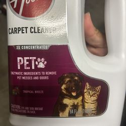 CARPET CLEANING SOLUTION 