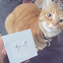AirPod Pro 2 