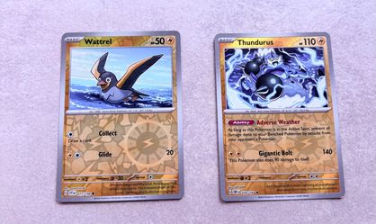 Pokémon Card Lot – Holos, Reverse Holos, Ancient/Future Cards + Rare Cards