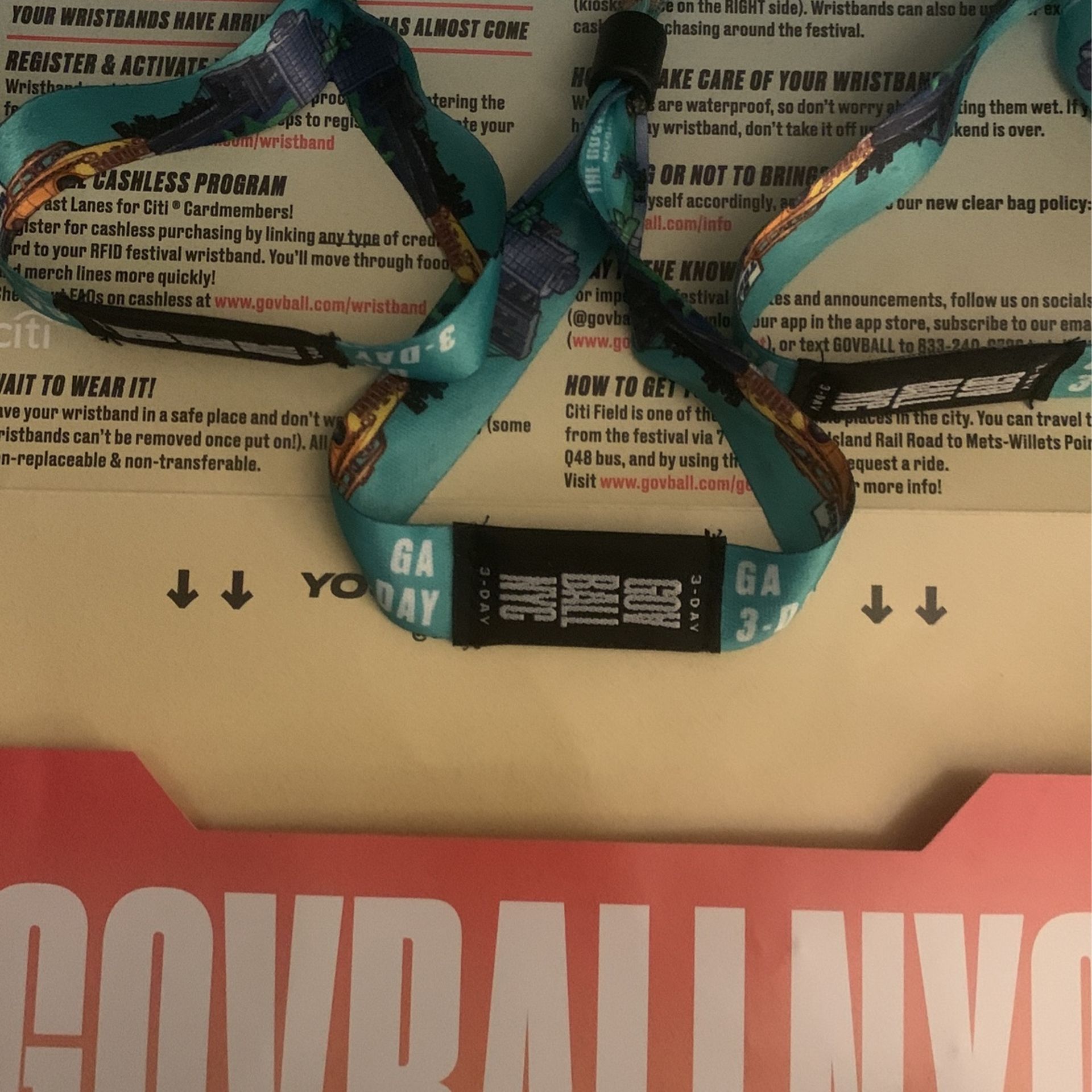 Governors Ball Pass