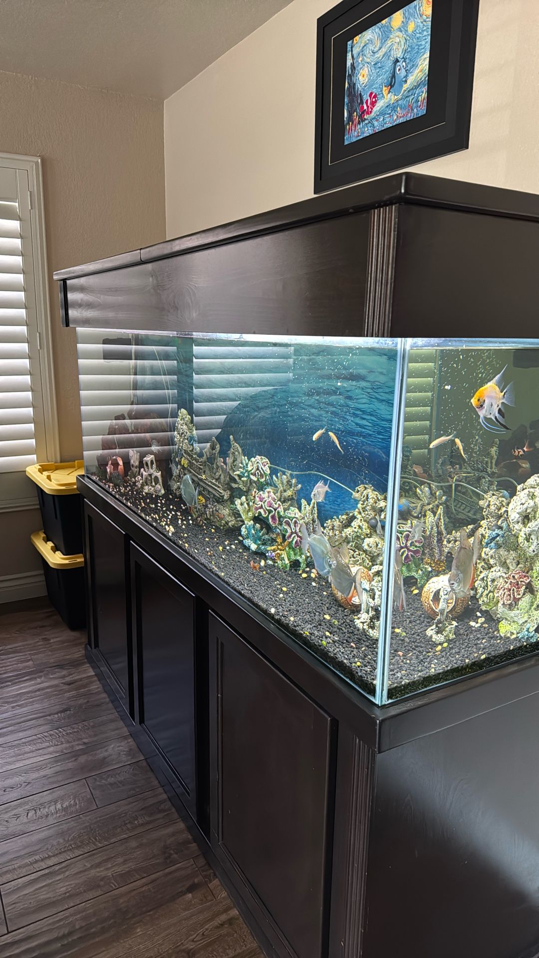 180 Complete Freshwater Aquarium
